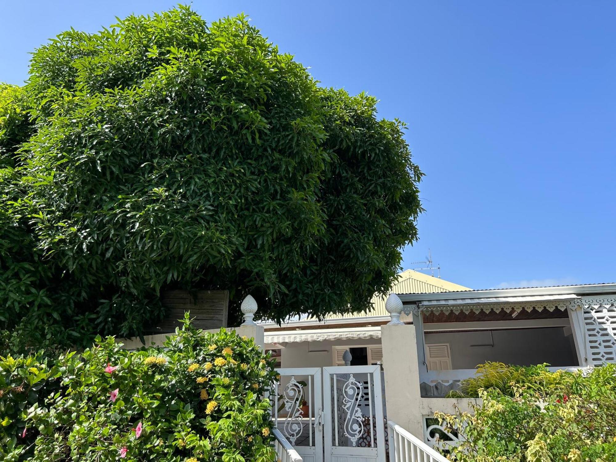 Villa A Louer A Sainte-Anne En Martinique Eksteriør billede